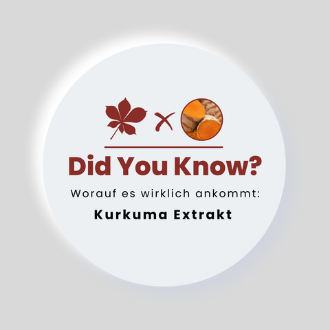 Kurkuma Extrakt: Worauf sollte man achten? - MIVALIED® Rohstoffhandel e.K