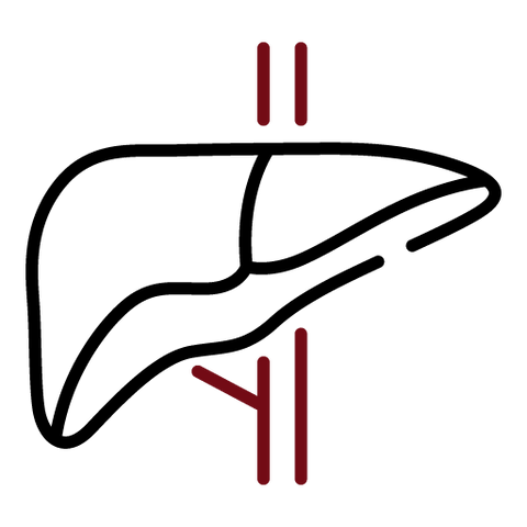 Entgiftung - MIVALIED® Rohstoffhandel e.K