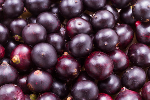 Acai Fruchtsaftpulver