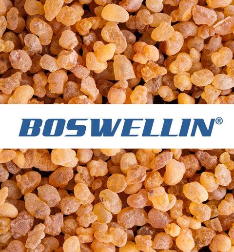 Boswellin® - MIVALIED® Rohstoffhandel e.K