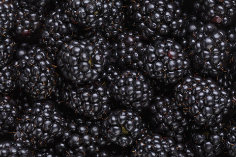 Brombeeren Fruchtsaftpulver