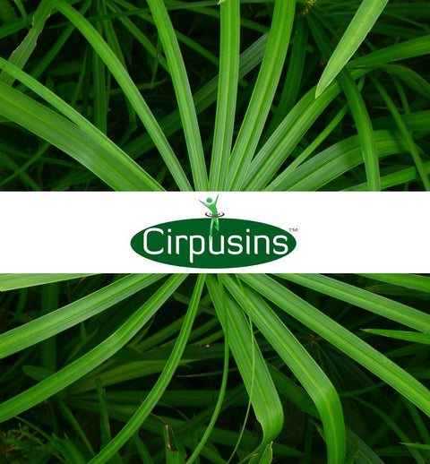 Cirpusins® - MIVALIED® Rohstoffhandel e.K