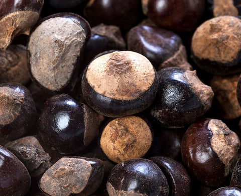 Guarana Extrakt