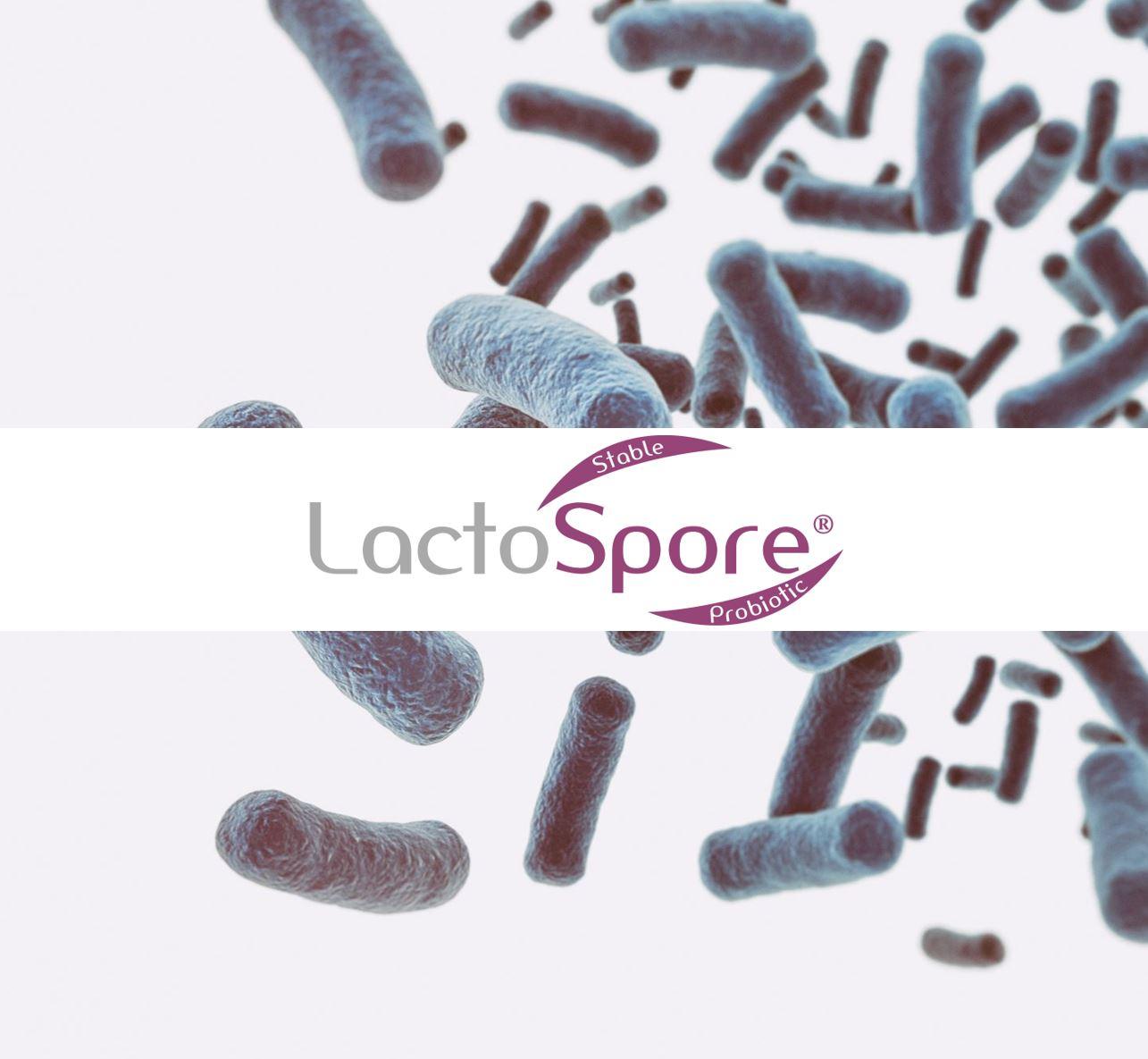 LACTOSPORE® Bacillus coagulans Ihr Lieferant MIVALIED® MIVALIED