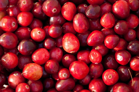 Cranberry Extrakte - MIVALIED® Rohstoffhandel e.K