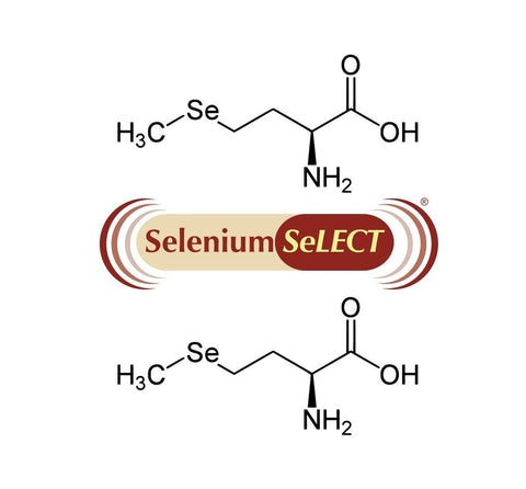 Selenium SeLECT® 5000 DCP - MIVALIED® Rohstoffhandel e.K