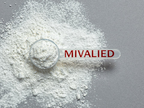 Orangen Fruchtsaftpulver