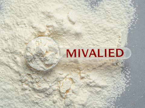 Limetten Fruchtsaftpulver