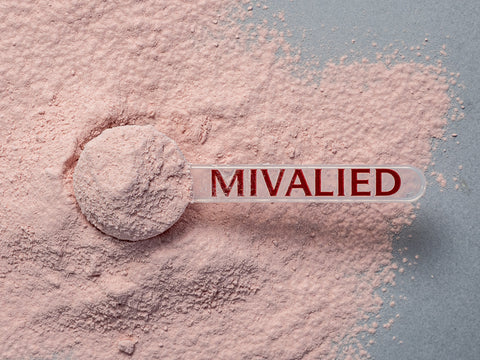 Granatapfel Fruchtsaftpulver