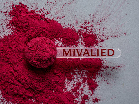 Schwarze Johannisbeeren Fruchtsaftpulver