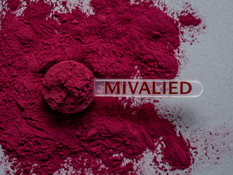 Aroniabeeren Fruchtsaftpulver