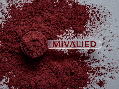 Acai Fruchtsaftpulver