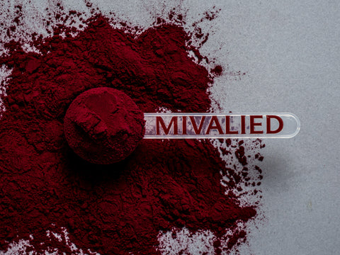 Heidelbeeren Fruchtsaftpulver