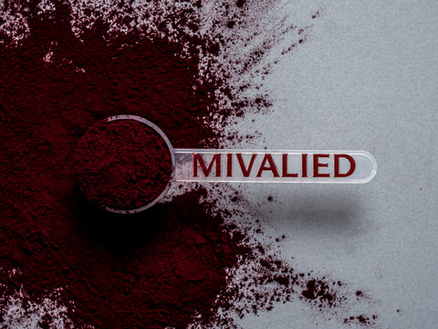 Holunderbeeren Fruchtsaftpulver