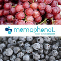 MEMOPHENOL™ - MIVALIED® Rohstoffhandel e.K